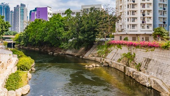 The addition of aquatic planting enhances the river ecology whilst creating a more aesthetically pleasing river corridor.